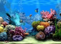 aquarium